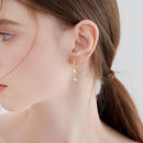 S925 sterling silver light luxury style zircon earrings cross earrings high-end exquisite earrings women