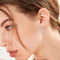 S925 sterling silver light luxury style zircon earrings cross earrings high-end exquisite earrings women